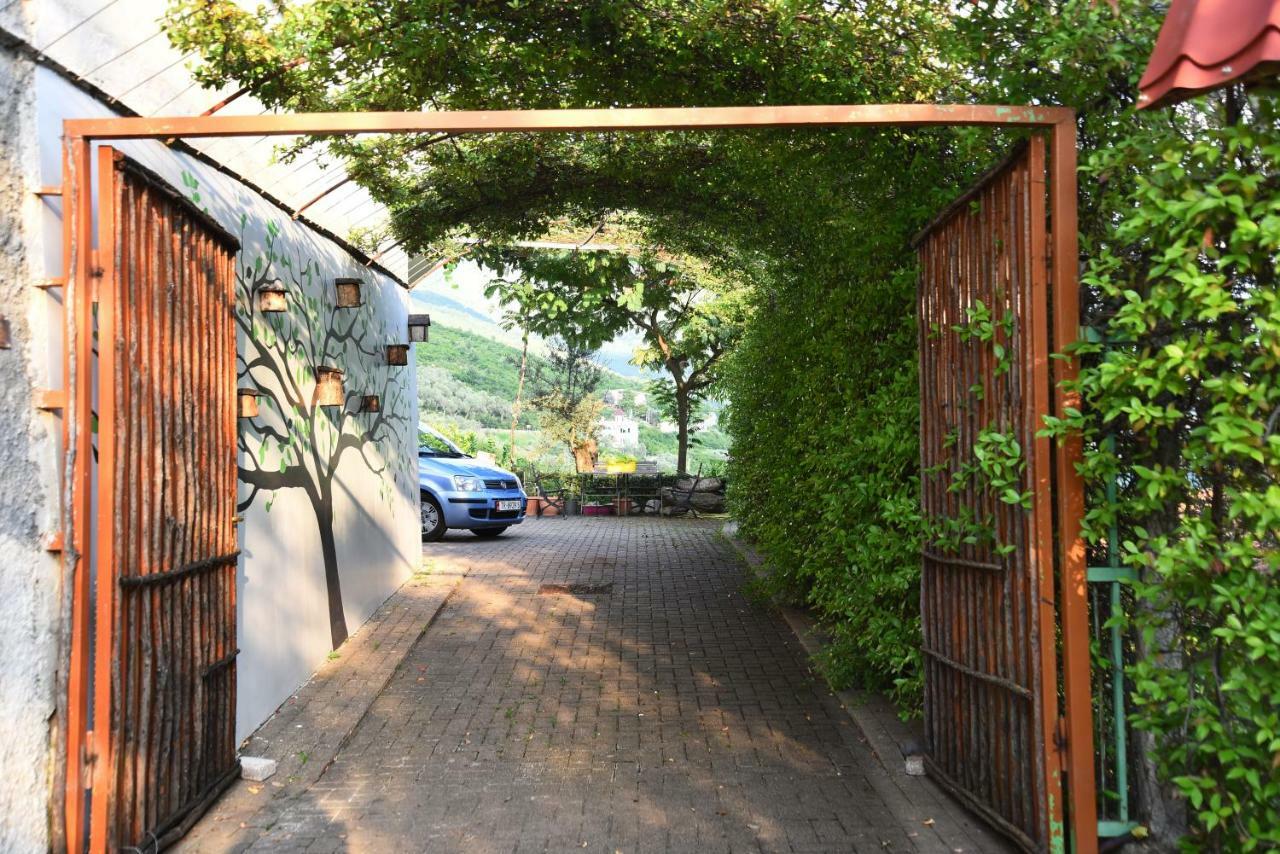 #Ioniahouse Surrel Villa Tiran Dış mekan fotoğraf